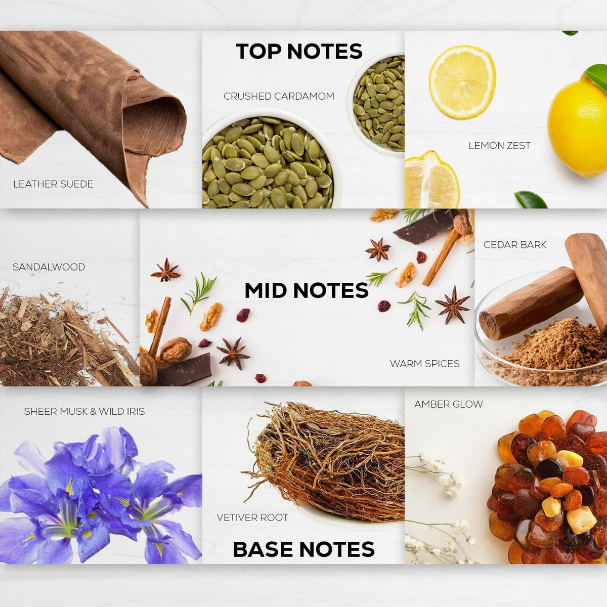 Inspired Collection fragrance profile graphic featuring top notes of leather suede, crushed cardamom, and lemon zest, with sandalwood, cedar bark, sheer musk, wild iris, vetiver root, and amber glow in the heart and base notes